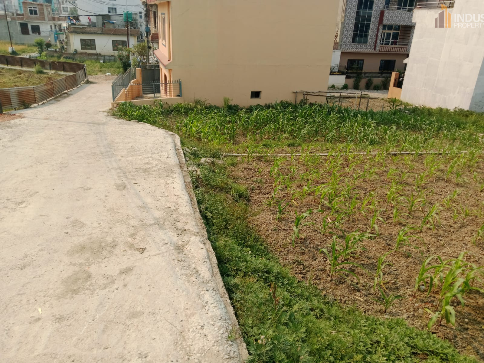 Picture of Mahalaxmi Municipality, Bagmati